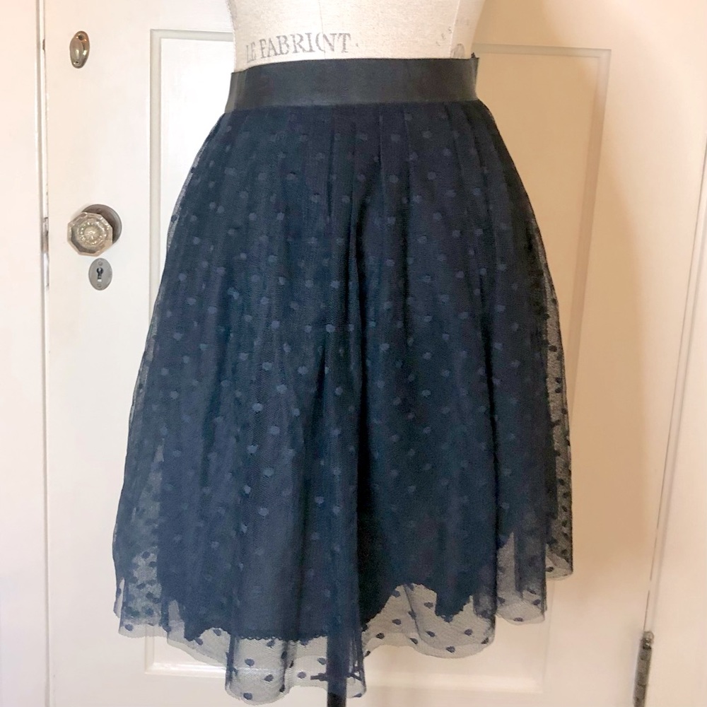 NWT Anthropologie size 2 black polka dotted mesh skirt